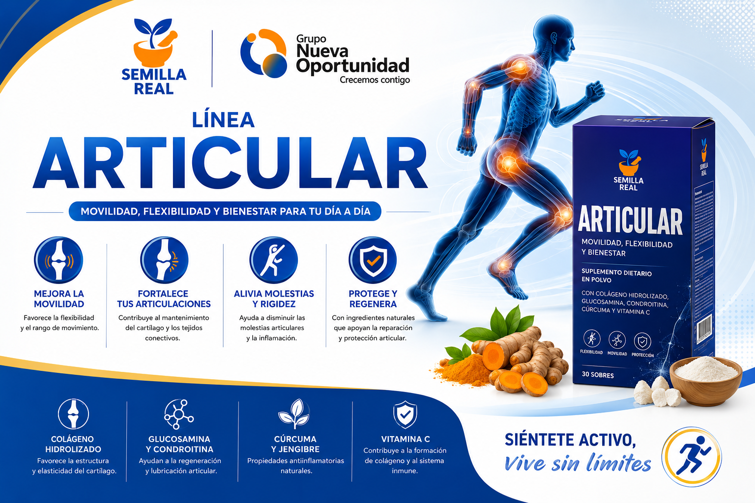Linea Articular