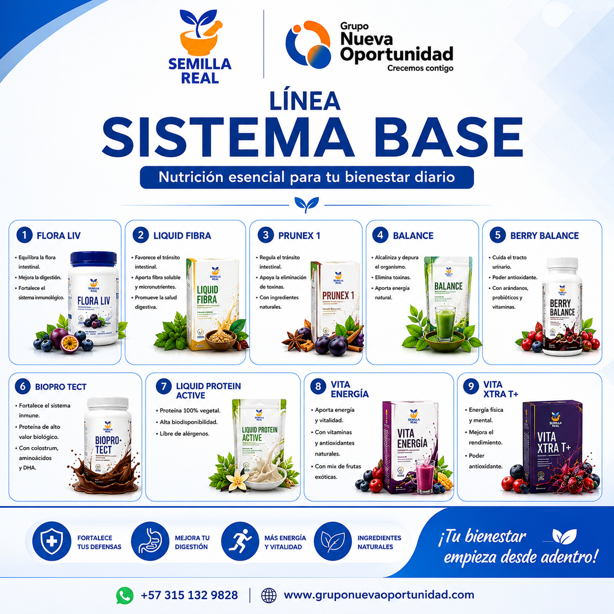 Sistema Base
