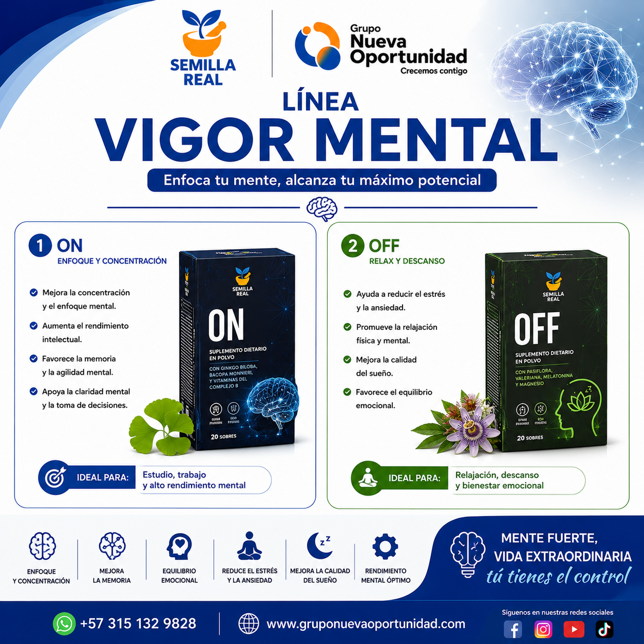 Vigor Mental