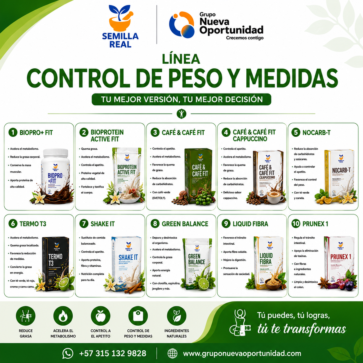Línea Control de Peso y Medidas