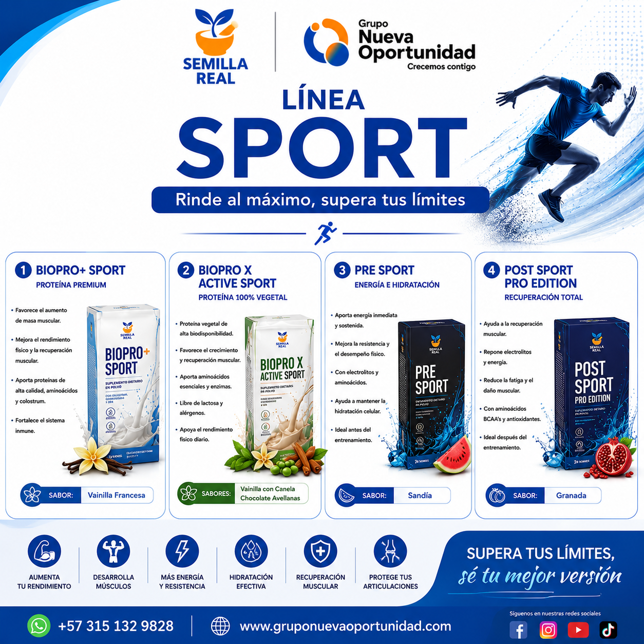 Linea Sport