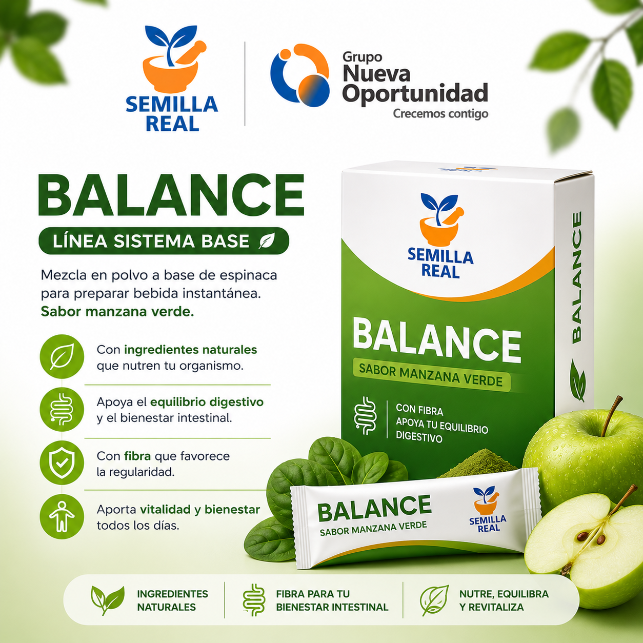 BALANCE de Semilla Real
