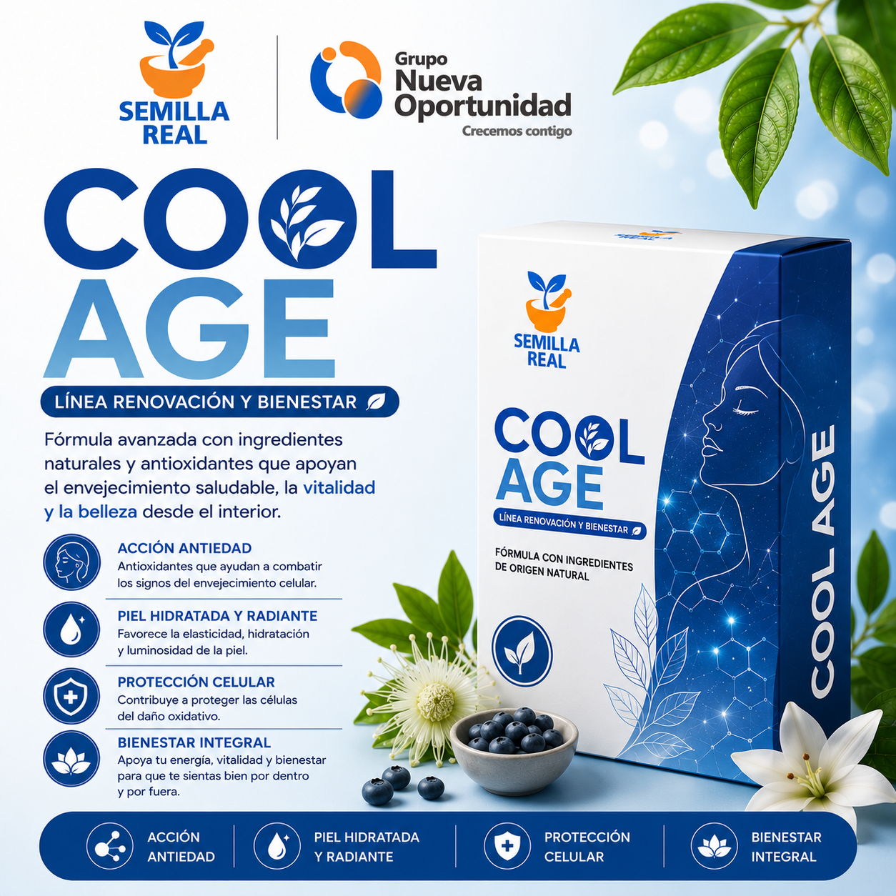 COOL AGE de Semilla real