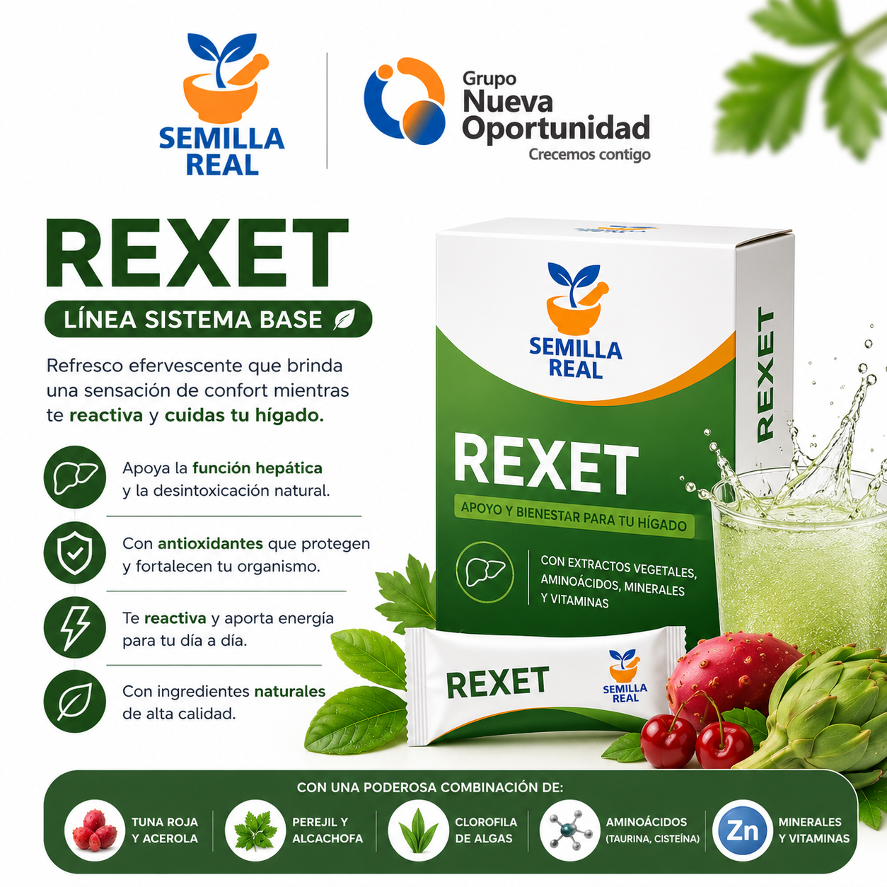 REXET de Semilla Real